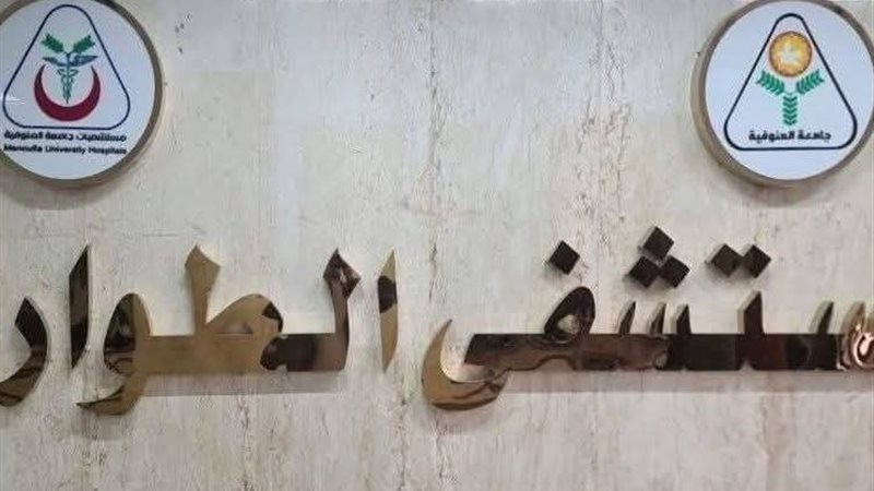مستشفيات المنوفية