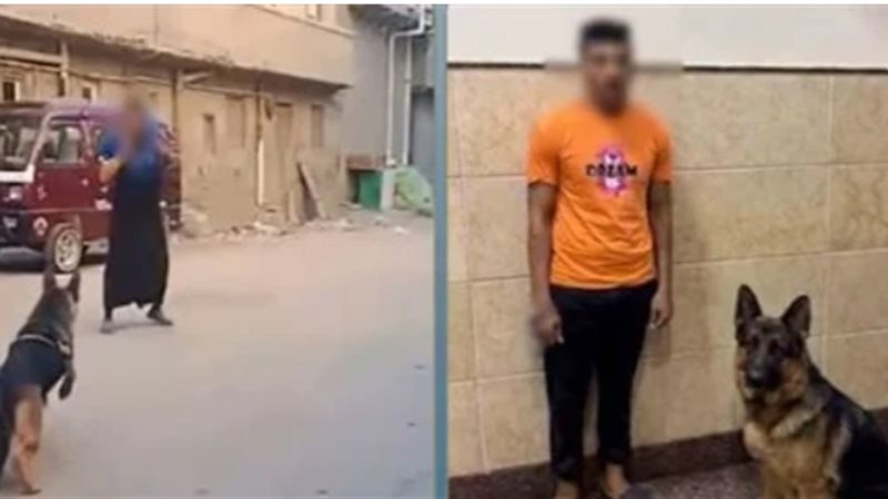 ضبط المتهم بدفع كلبه
