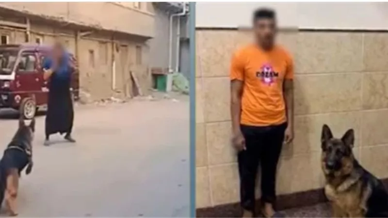 بعد انتشار الفيديو.. ضبط المتهم بدفع كلبه لمهاجمة سيدة في البحيرة