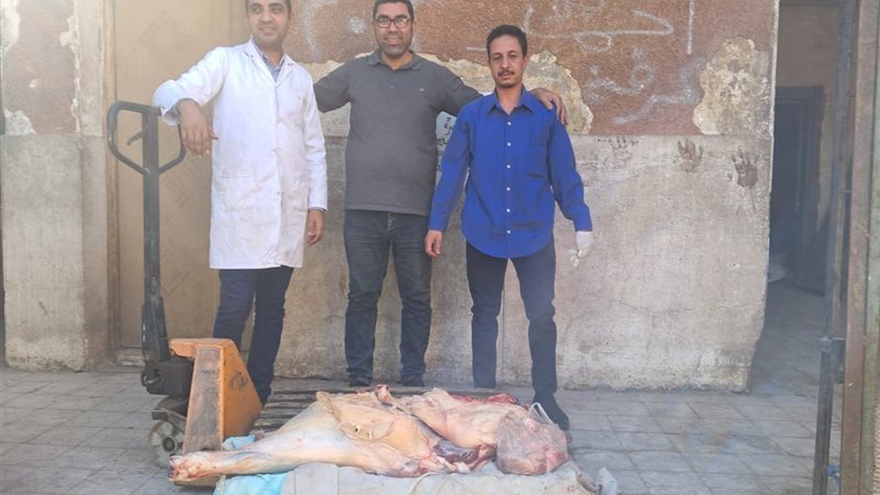 المضبوطات من اللحوم