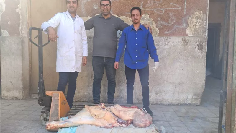 ضبط 55 كيلو لحوم فاسدة ومذبوحة خارج المجازر الحكومية خلال حملة بسوهاج