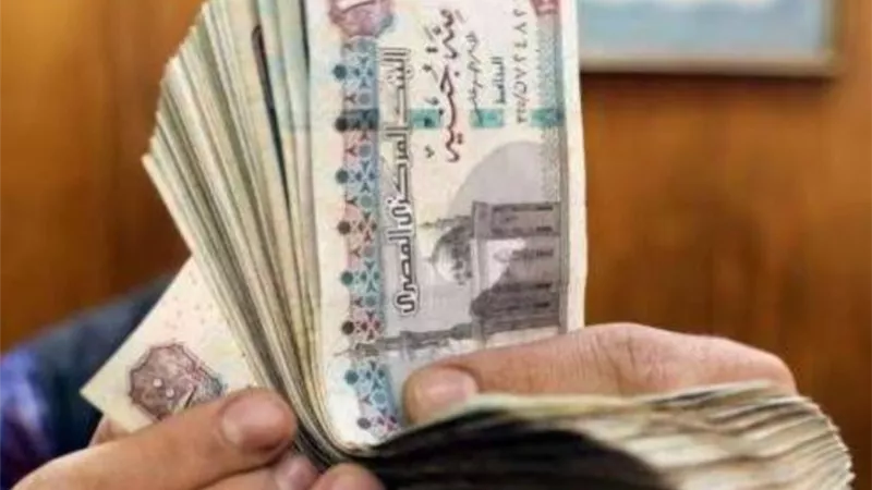 البنوك المصرية تطرح شهادات ادخار بعوائد مرتفعة ومتنوعة