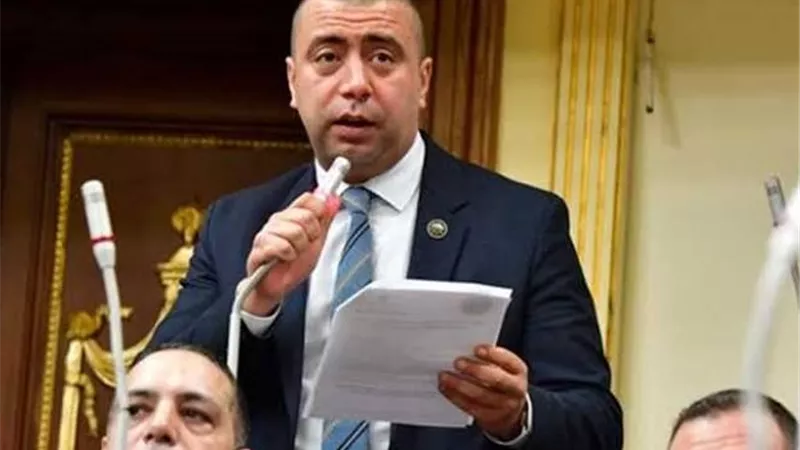 برلماني: قانون إعادة تنظيم جهاز مستقبل مصر يؤسس لاستدامة تجربة ناجحة