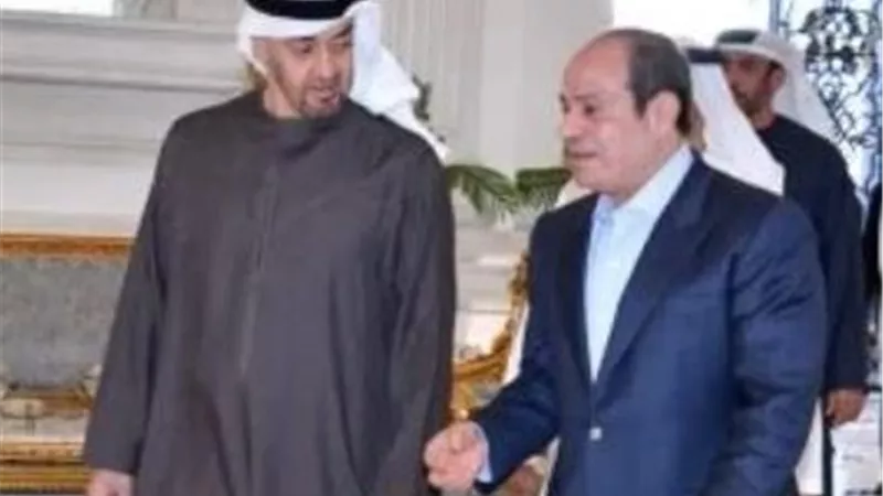 برلماني: لقاء السيسي وبن زايد يؤكد متانة الشراكة المصرية الإماراتية ودورها في دعم استقرار المنطقة