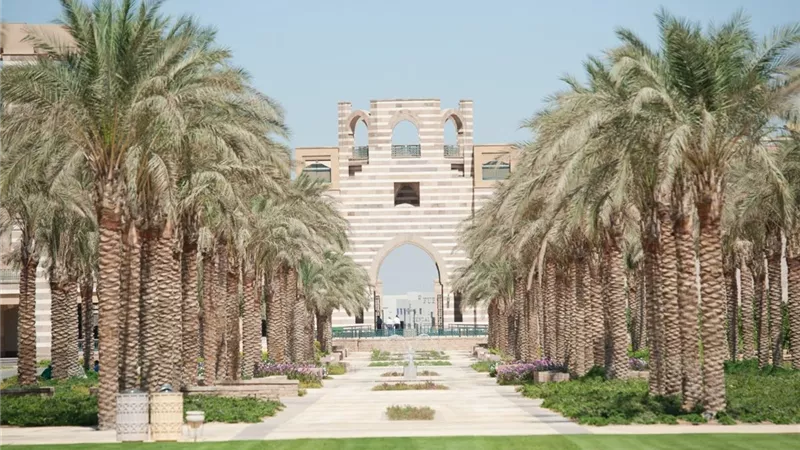 الجامعة الأمريكية بالقاهرة تكشف ملامح استراتيجيتها للاستدامة.. وإطلاق أول سياسة بيئية ملزمة