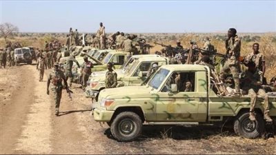 الجيش السوداني يوسع سيطرته بكردفان ويضبط مخازن أسلحة للدعم السريع 