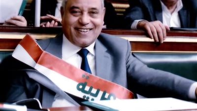 برلماني: أمن مصر خط أحمر.. واستهداف ميناء دمياط لن يحقق أهدافه