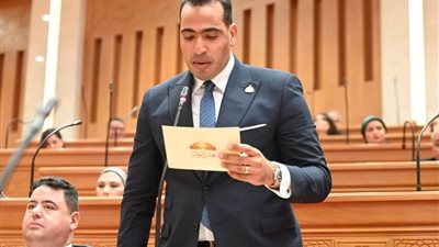 وكيل «اتصالات النواب»: القاهرة تقود جهود تثبيت وقف إطلاق النار وإعادة إعمار غزة