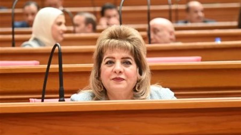 النائبة هناء أنيس