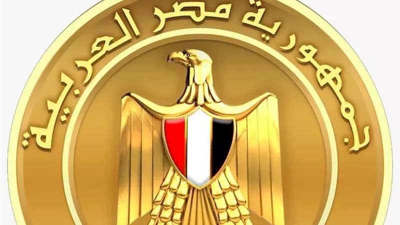مجلس الوزراء: حريق سفينتي ميناء دمياط جراء استهداف طائرة مسيّرة مجهولة 