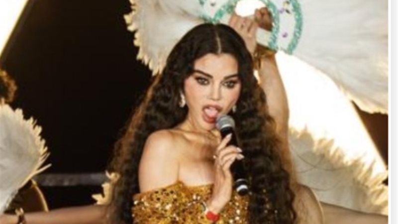 هيفاء وهبي تخطف الأضواء