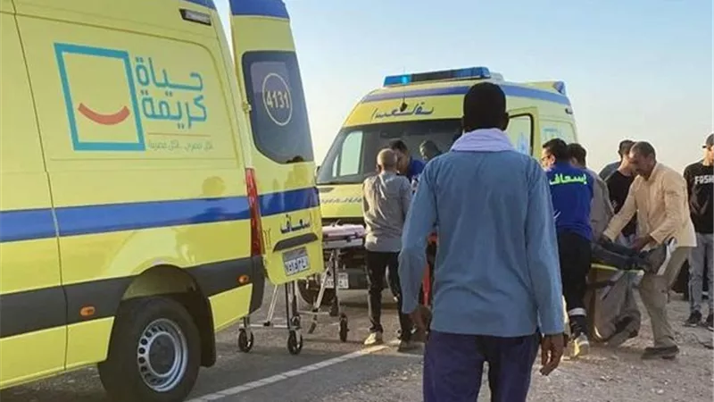 مصرع عامل صدمته سيارة بالمنيا 