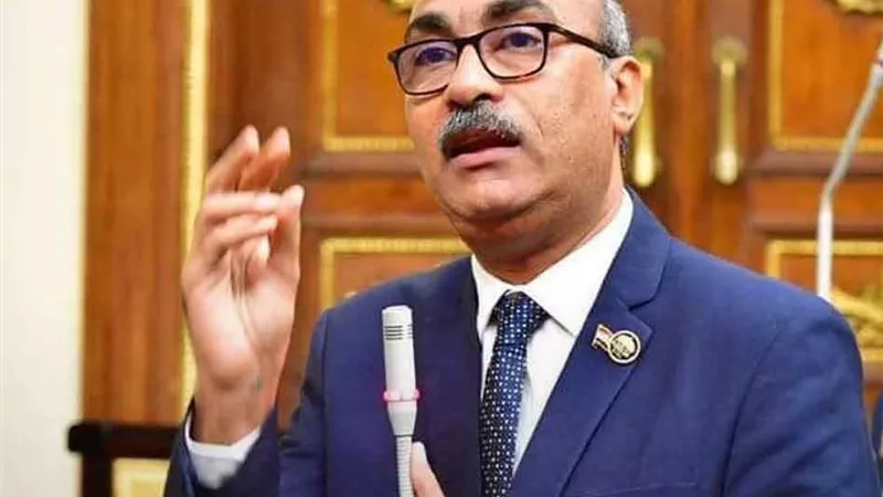 النائب إيهاب منصور لـ