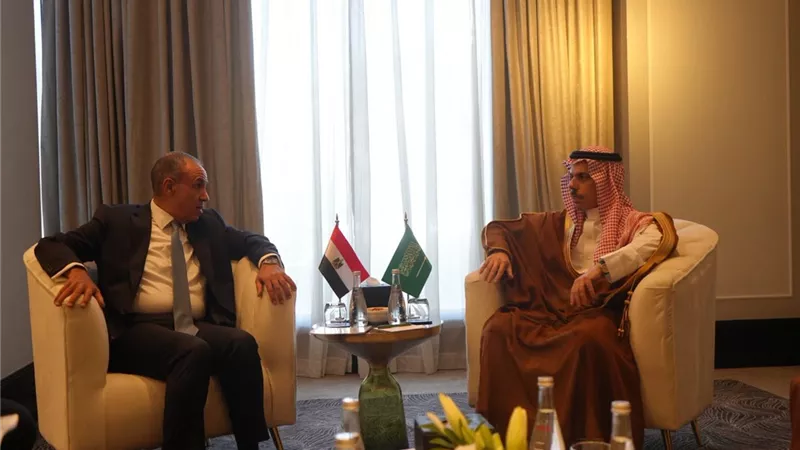 عبد العاطي يبحث مع نظيره السعودي تعزيز العلاقات والتنسيق بشأن أزمات المنطقة