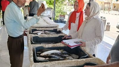 الطب البيطري ينفذ حملة على أسواق بيع الأغذية ذات الأصل الحيواني بشمال سيناء