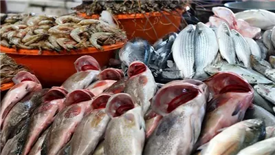 أسعار الأسماك والمأكولات البحرية اليوم السبت 15 أغسطس.. والسردين بـ30 جنيهًا