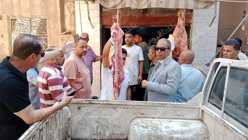 الحملات المكبرة 