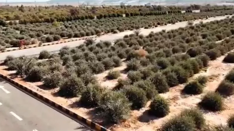استصلاح الغابات الشجرية بسوهاج يدخل قائمة الـ10 الأوائل بجائزة مصر للتميز الحكومي