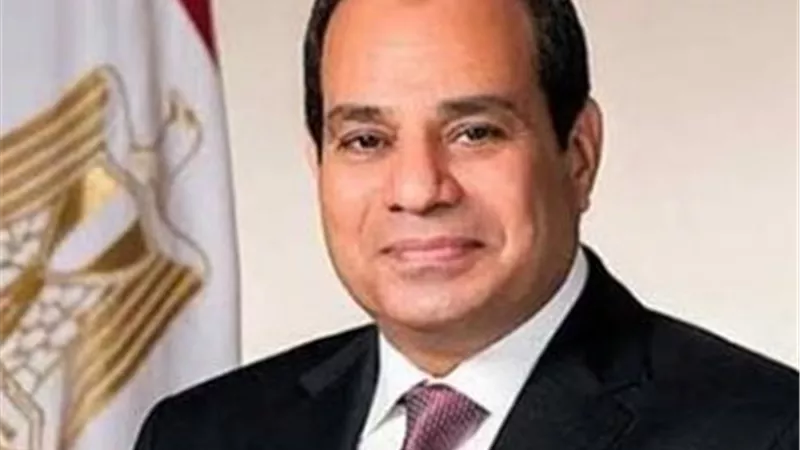 السيسي ورئيس جنوب أفريقيا يؤكدان دعم حل الدولتين خلال قمة بريكس
