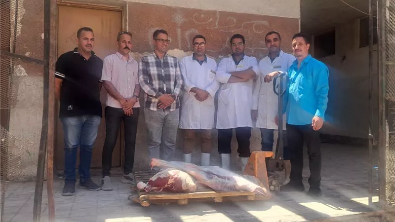 ضبط 175 كيلو لحوم ومصنعات فاسدة خلال حملة رقابية على الأسواق بسوهاج