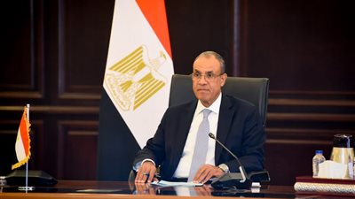 وزير الخارجية: مصر وقطر تنسقان يوميًا لخفض التصعيد ودعم الحلول السياسية