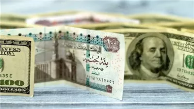 سعر الدولار اليوم الإثنين 31 أغسطس 2026.. الأخضر يستقر بعد ارتفاعه الأخير