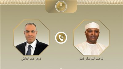 وزيرا خارجية مصر وتشاد يبحثان تعزيز العلاقات وتنسيق المواقف بشأن قضايا المنطقة