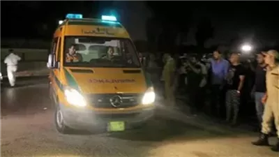 فتاة تطعن والدها داخل مقر عمله في المنيا