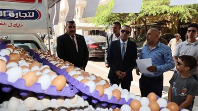 محافظ المنوفية يدشن أولى فعاليات مبادرة «كلنا عندك» لتوفير السلع الغذائية بأسعار مخفضة