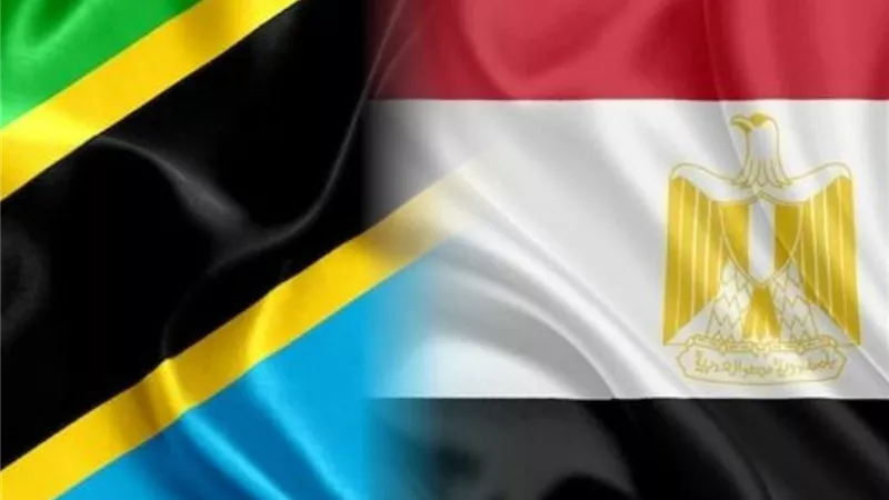 خبير بالشؤون الأفريقية: افتتاح السد يمثل محطة تاريخية في علاقات مصر وتنزانيا
