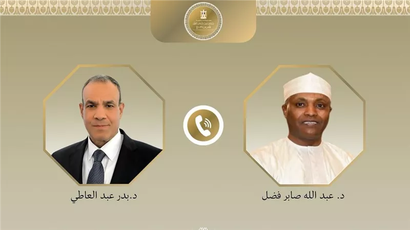 وزيرا خارجية مصر وتشاد يبحثان تعزيز العلاقات وتنسيق المواقف بشأن قضايا المنطقة