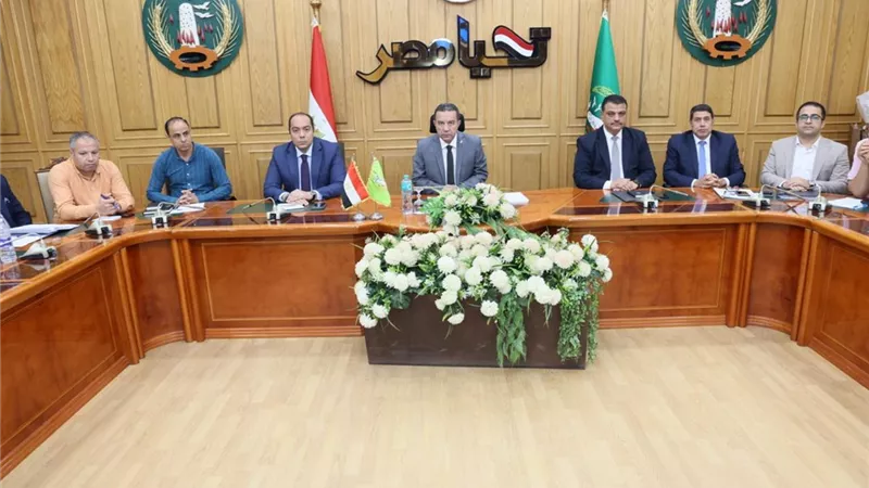 التحول الرقمي.. خطوة جديدة لبناء «منوفية بلا ورق»