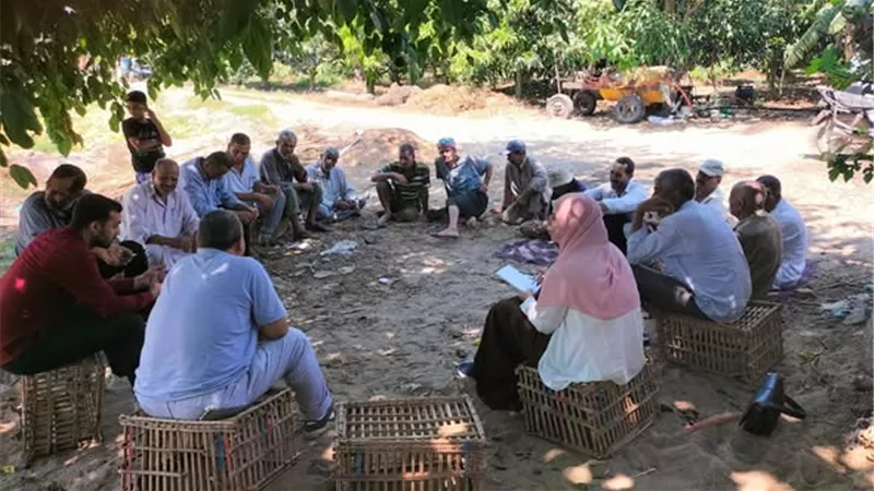 قافلة إرشادية موسعة ببلطيم لدعم مزارعي المانجو والنخيل في مواجهة التغيرات المناخية