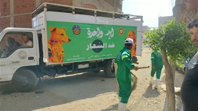 لحماية المواطنين من السعار.. الدقهلية تكثف حملاتها لمواجهة الكلاب الضالة بطلخا