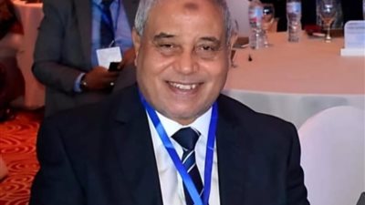 نائب: زيارة الرئيس الصيني تعزز توطين الصناعة والتصدير في مصر