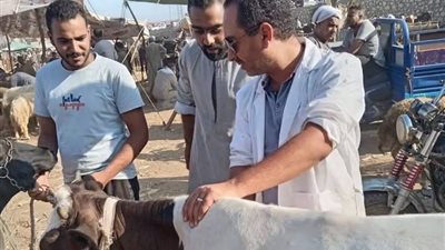 الجيزة تطلق الحملة القومية الثانية للتحصين ضد الحمى القلاعية والوادي المتصدع