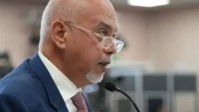 برلماني: المصريون بالخارج شركاء في التنمية وليسوا مجرد مصدر للتحويلات المالية