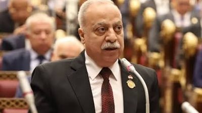 «حقهم بعد 35 و40 سنة شغل».. نائب يتحدث عن أزمة أصحاب المعاشات