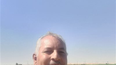 نقيب الفلاحين: الطماطم تتجه نحو 40 جنيها للكيلو في أكتوبر بسبب المناخ وتقلص المساحات