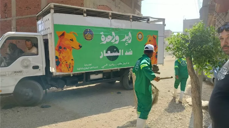 لحماية المواطنين من السعار.. الدقهلية تكثف حملاتها لمواجهة الكلاب الضالة بطلخا