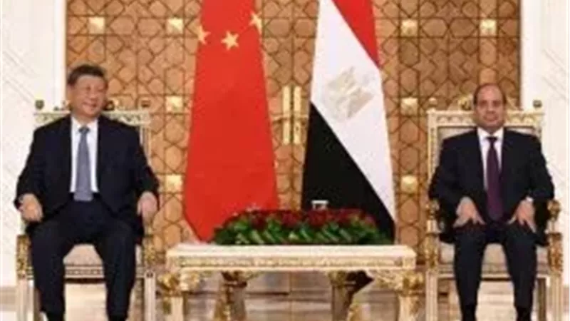 السيد الرئيس عبد