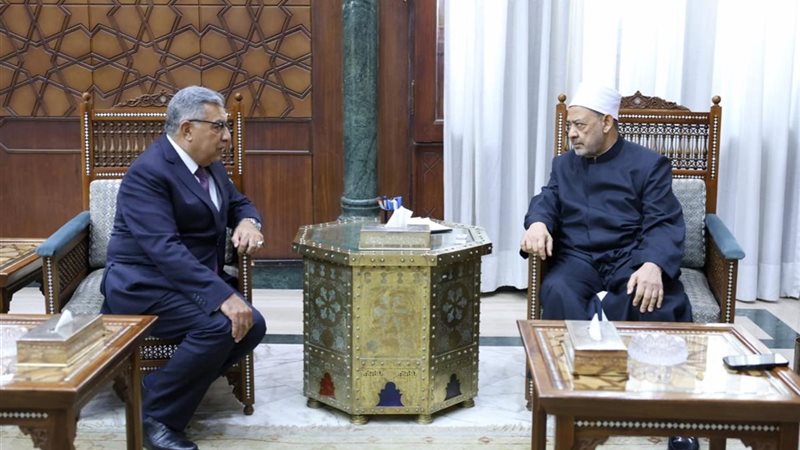 محافظ الدقهلية يزور