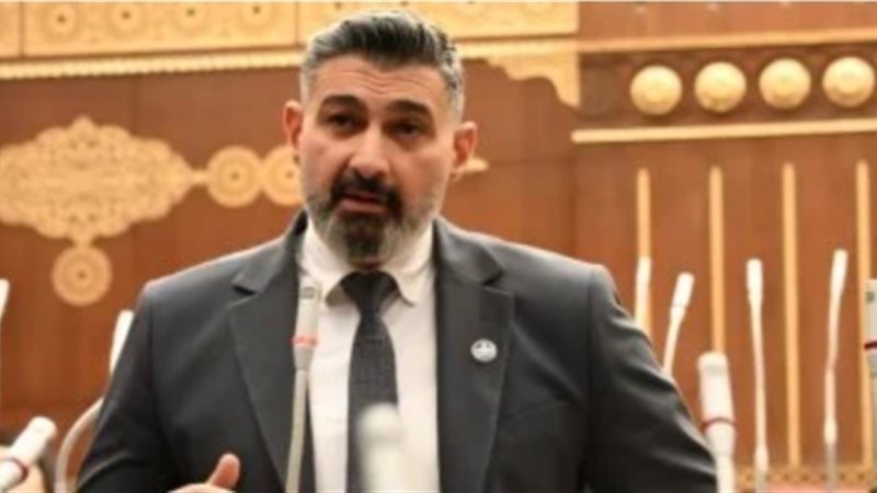 ياسر جلال  الفن والثقافة