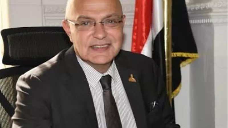 أحمد صبور: شراكة مصر والصين تفتح الطريق أمام توطين صناعة السيارات 