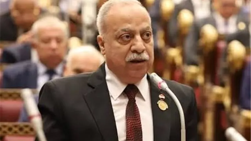 «حقهم بعد 35 و40 سنة شغل».. نائب يتحدث عن أزمة أصحاب المعاشات