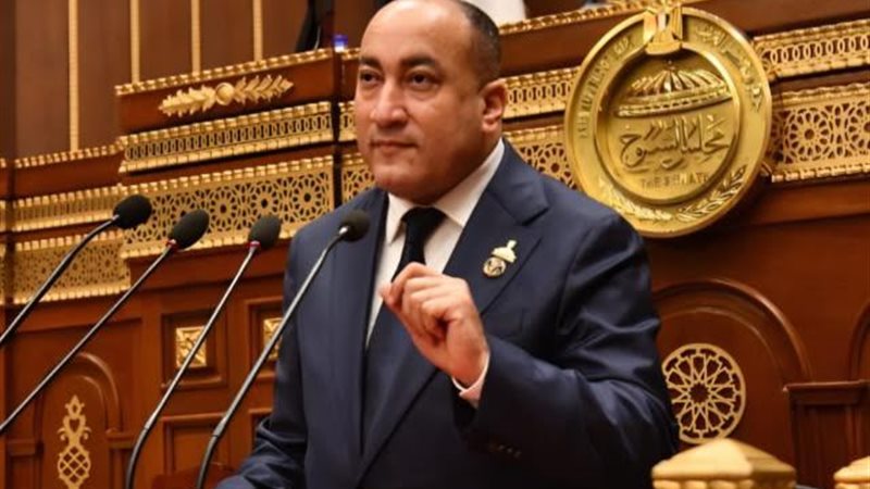 المهندس عمرو رشاد