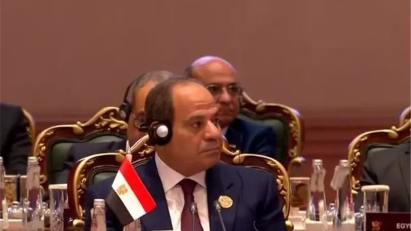 مصر تتطلع لرئاسة البريكس.. ننشر نص كلمة الرئيس السيسي في قمة نيودلهي