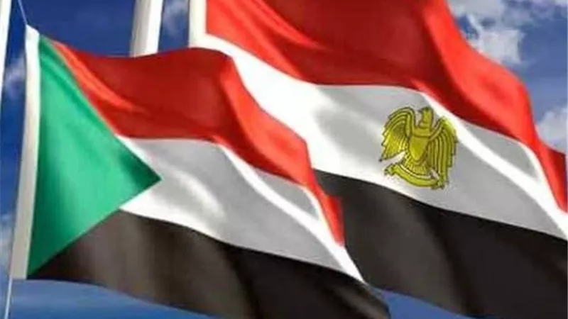 وزير الطاقة السوداني: نخطط لرفع الربط الكهربائي مع مصر إلى 300 ميجاوات