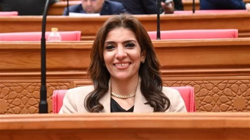 النائبة رانيا الشيمي،