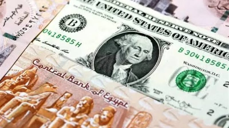 عز الدين حسانين